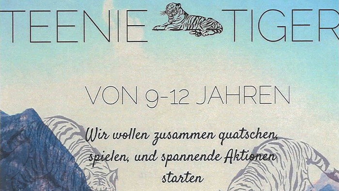 Buchcover mit Tigern und Bergen