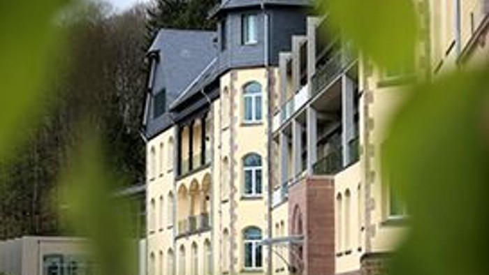 Ein mehrstöckiges Gebäude mit einem Uhrturm, durch Blätter betrachtet.