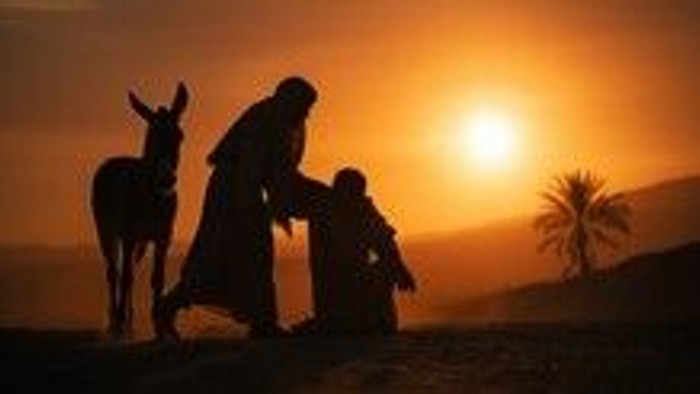 Auf der linken Seite sieht man einen Esel in der Abendsonne. Neben dem Esel befinden sich zwei Menschen. Der eine auf der rechten Seite scheint verletzt zu sein. Er ist noch auf den Knieen. Der andere rechts direkt neben dem Esel hilft ihm hoch.