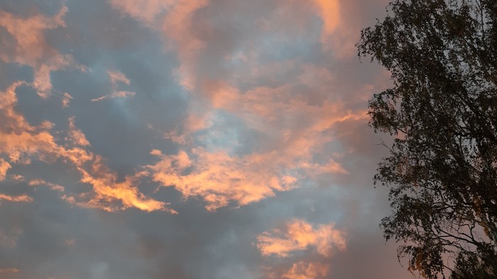 Bunter Sonnenuntergang mit Wolken und Bäumen