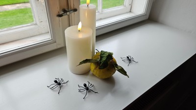 En lysende lykt og citron med blad på vinduesbank med spinder.