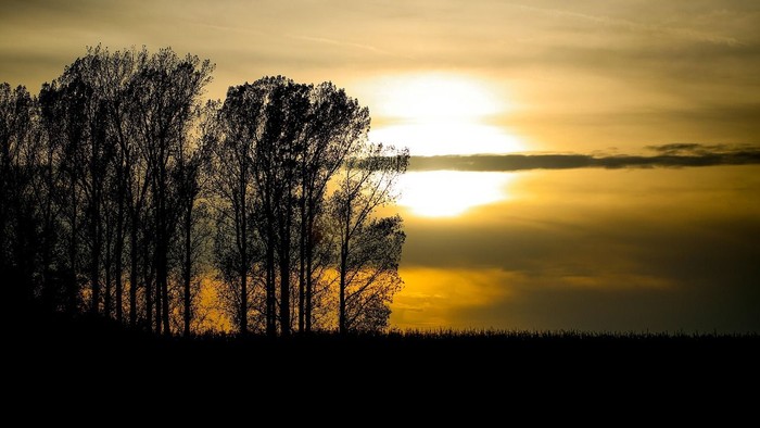 Ein Sonnenuntergang spiegelt sich in einem ruhigen Gewässer wider, umgeben von Bäumen.