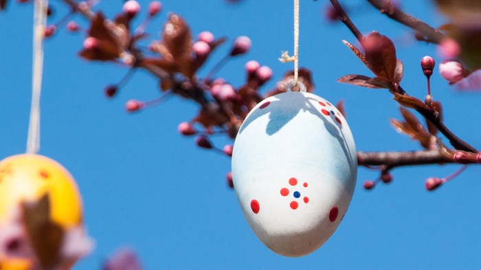 Bunte Ostereier hängen an einem blühenden Baumzweig