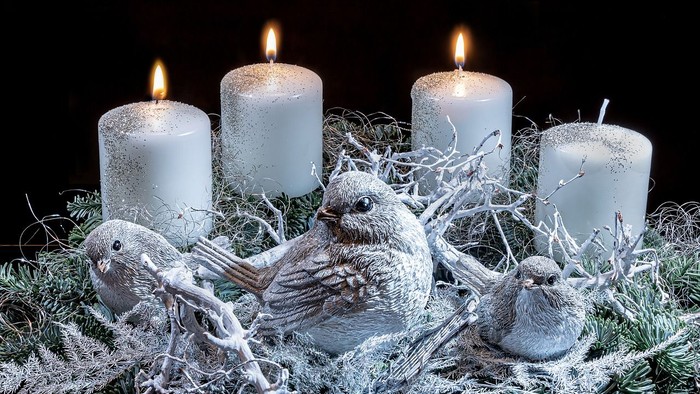 Firelyse med isbjørn og småfugle i vinterdekor