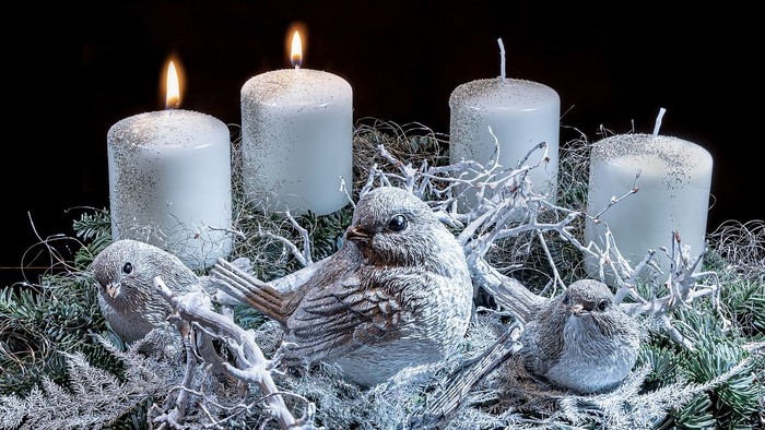 Syv lysede lysekøn i hvid is og grønne grene med tre fjer, på sort baggrund