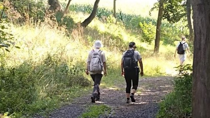 Drei Personen wandern auf einem Waldweg, zwei mit Rucksäcken und eine mit einem Kinderwagen.