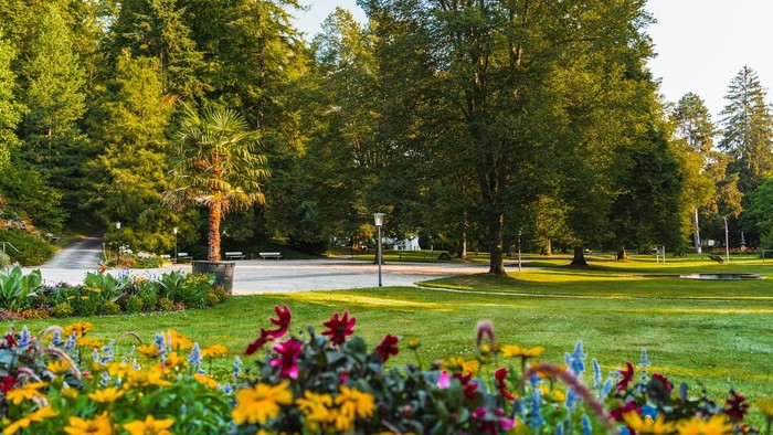 Lebendige Parkszenen mit bunten Blumen im Vordergrund, üppigem Grün und gewundenen Wegen, umgeben von Bäumen.