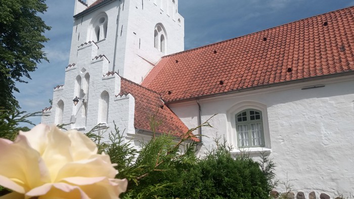 Et hvidt kirkebygning med spånt tak og en blomst i forgrunden