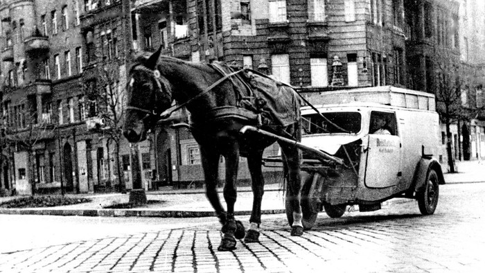 Pferd zieht Lastwagen auf Kopfsteinpflasterstraße