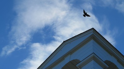 En fugl flyver over et hvidt tårn mod et blåt himmel.