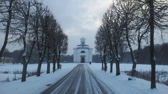 En snedækket vej med træer på hver side og et hvidt tårn i baggrunden