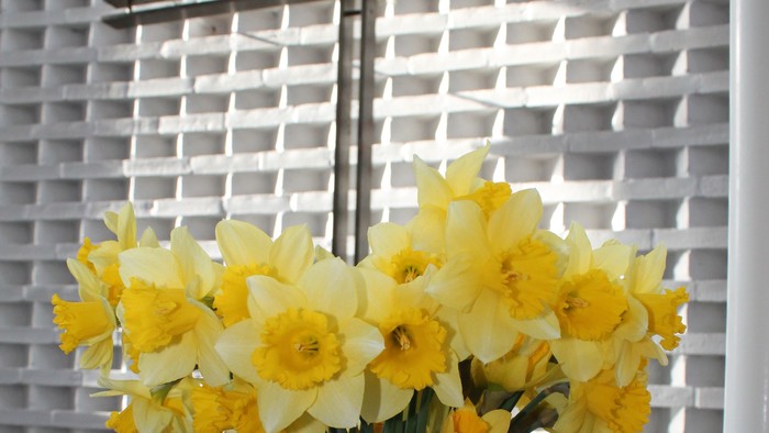 En blomsterstang med gule og hvide narciser i en hvid vase på en sort badebord