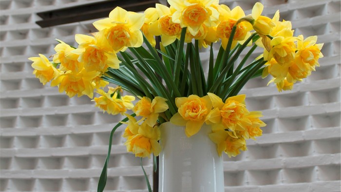 En blomsterstang med gule narciser i en hvid vase foran et murværk