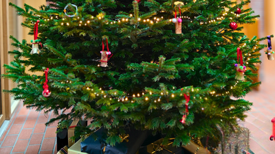 Juletræ med gaver under