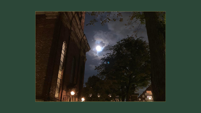 En stor måne skiner over en mørk bygate med mur og træer