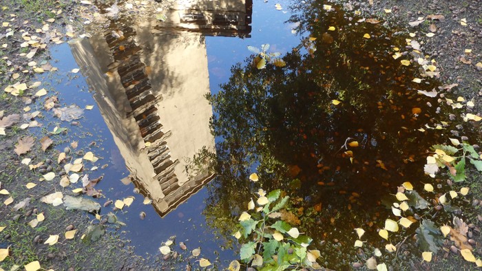 Ein Pfütze spiegelt einen Turm und Bäume wider, umgeben von gefallenen Blättern