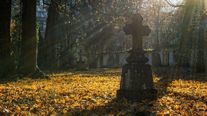 Ein Grabkreuz steht in einem Herbstwald mit gefallenen Blättern.