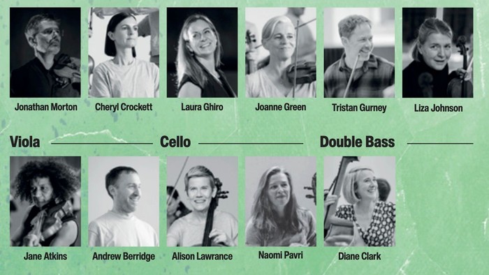 Musicians categorized by instrument: violin, viola, cello, double bass with names listed below each photo.