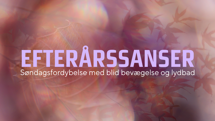 Efterårssanser med billeder af bevægelse og lydbad