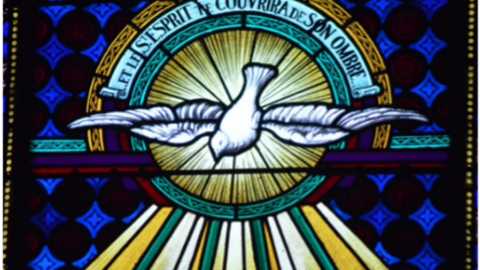 Stained glass art depicting a dove with outstretched wings, surrounded by light rays and Latin text.