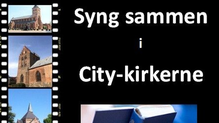 Billedet viser kirker og en person holder en bog med tittelen 