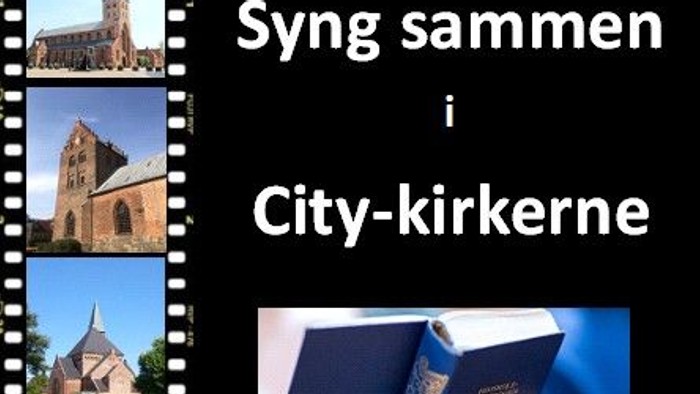 Billedet viser kirker og en person holder en bog med tittelen 