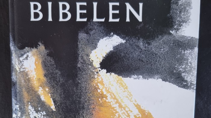 Bogen Bibelen med farverig cover