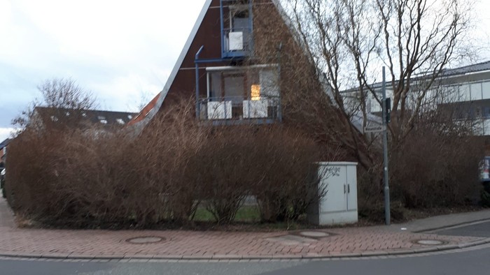 Modernes Gebäude mit dreieckigem Dach, umgeben von kahlen Bäumen und einem gepflasterten Eckgrundstück.