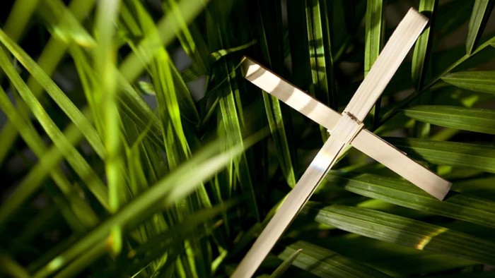 Et stålskærm i grønne palmeblade