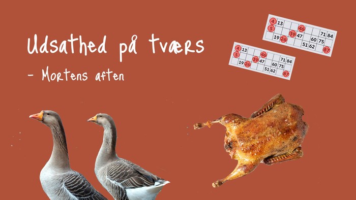 Udsathed på tværs - Mortens atten