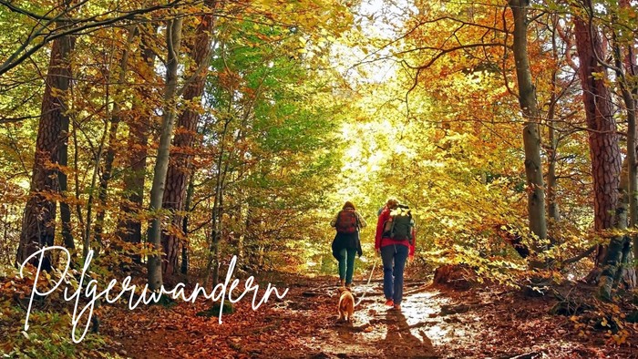 Zwei Personen wandern im Herbstwald