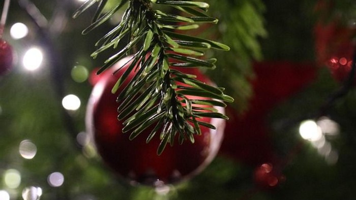 rote Christbaumkugel an Zweig