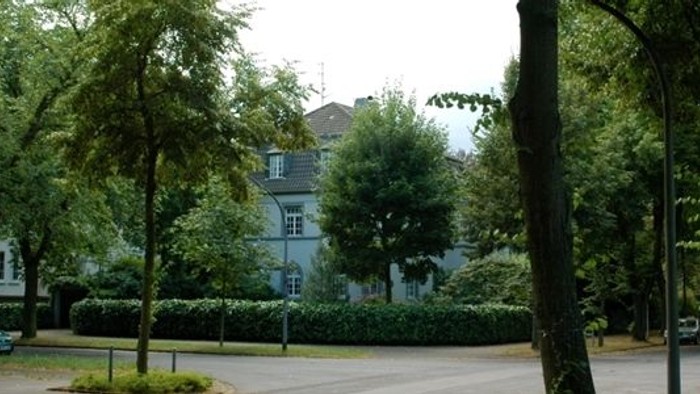 Ein Baum steht neben einem Gehweg mit einem Auto und Häusern im Hintergrund.