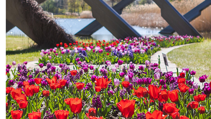 Bunte Blumenbeete vor modernen Metallskulpturen und Teich