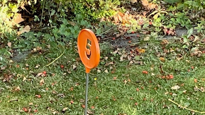 En discgolfbane opsat med et orange discgolfmål, hul og en rød golfkugle på græs.