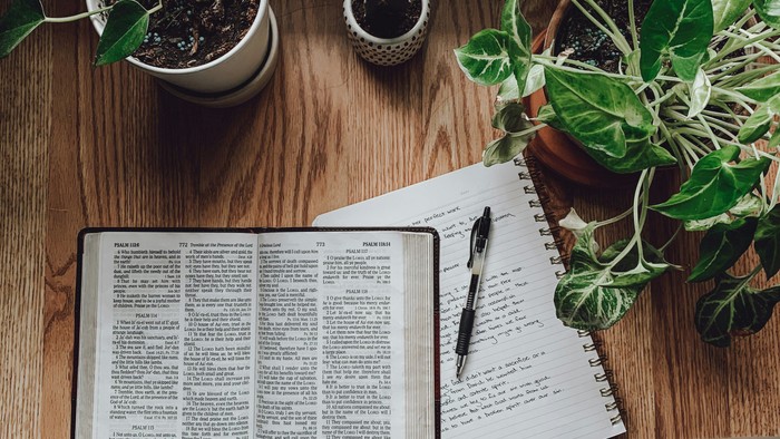 Bücher und Topfpflanzen auf Holzboden