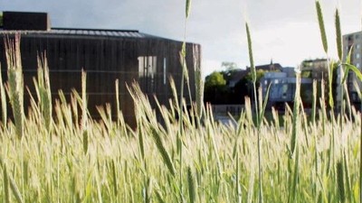 Magazin der Evangelischen Kirchengemeinde am Gesundbrunnen, Ausgabe Juni/Juli/August 2025