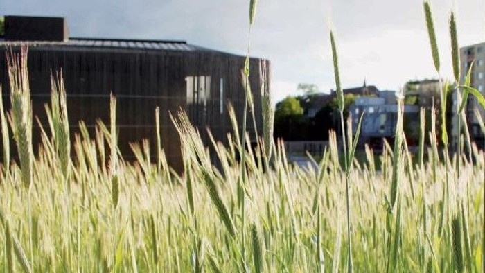 Magazin der Evangelischen Kirchengemeinde am Gesundbrunnen, Ausgabe Juni/Juli/August 2025