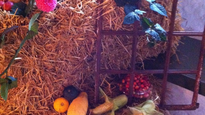 En hestetrukket vogn med blomster og frukt