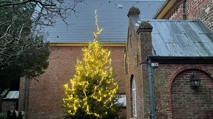 Ein gelber Baum vor einem Ziegelgebäude mit Schieferdach