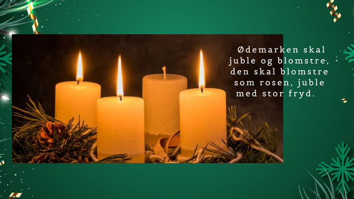 Fire blomstrende julelygter i mørke, med stærke lys og glitrende dekorationer