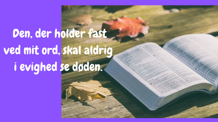 En åben bog på en træbank med en rød blomst i baggrunden.