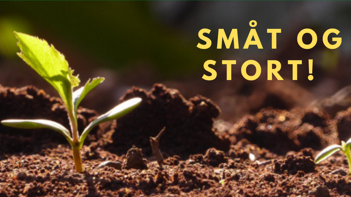 En lille plante sprækker ud af jorden med teksten 