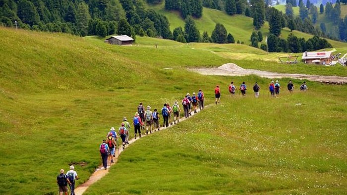 Gruppe von Wandernden auf einem Bergweg in grüner Alpenlandschaft mit Hütten und Wald im Hintergrund.