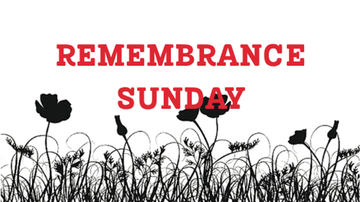 Remembrance Sunday poppy graphic