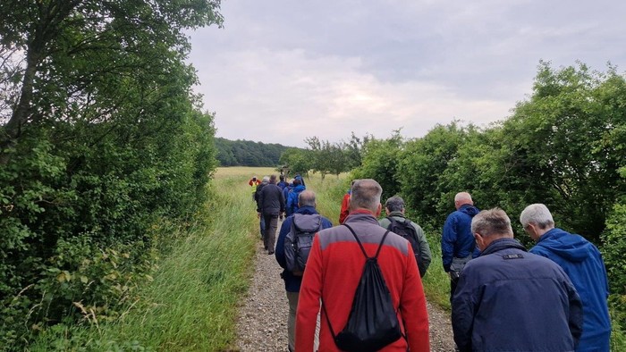 Eine Gruppe von Menschen geht auf einem Feldweg durch ein grünes Gebiet.