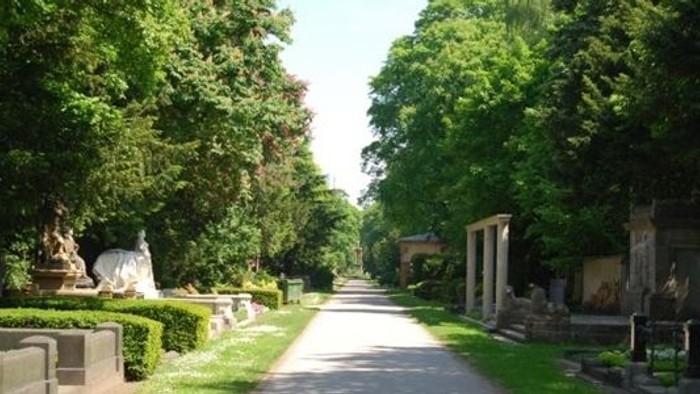 Ein gepflegter Parkweg mit Bäumen und Skulpturen