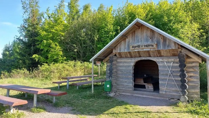 Ein kleines Holzhaus im Wald mit einem Hund davor