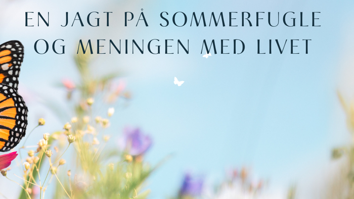 En sommerfugl sidder på en rosa blomst under et blødt himmel.
