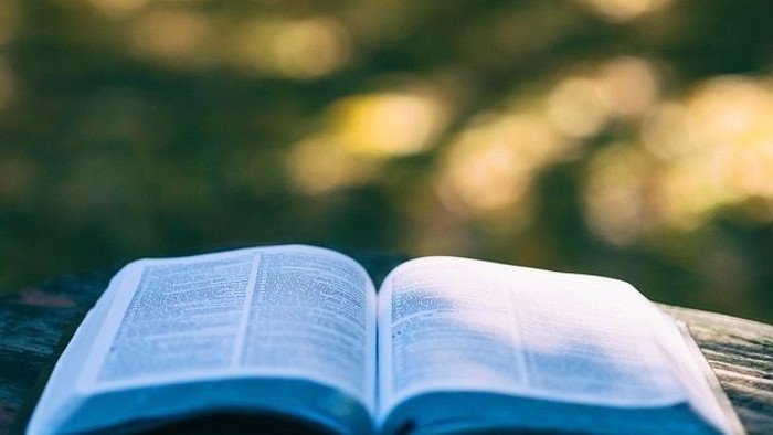 Offenes Buch liegt auf Holzoberfläche im Freien